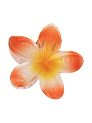 Hårklype blomst, Hawaii Oransje