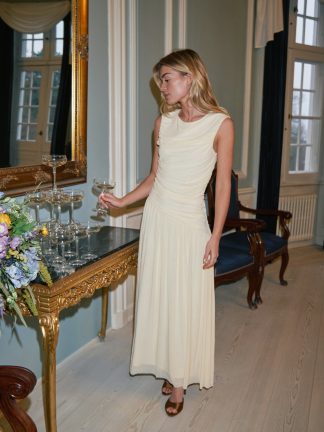 Cludine Mesh Dress