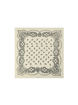 Adelina Paisley Knit Scarf