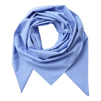 Elona Check Scarf
